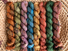 Load image into Gallery viewer, Fall Collection Mini Skeins - Pattern included