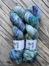 Load image into Gallery viewer, Jake