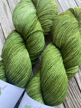 Load image into Gallery viewer, Brady