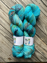 Load image into Gallery viewer, Felix