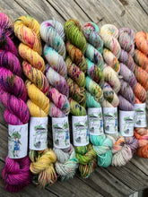 Load image into Gallery viewer, Spring Collection Mini Skeins