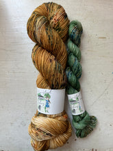 Load image into Gallery viewer, Sock Set - Homer & Percy