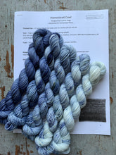 Load image into Gallery viewer, Homestead Cowl Set - Gavin, Parker, Troy, Hudson, Luke Mini Skeins