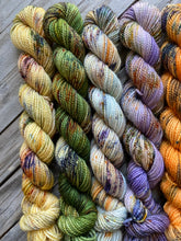 Load image into Gallery viewer, Fall Collection Mini Skeins (Pattern included)
