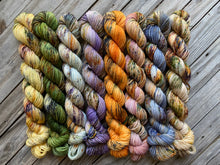 Load image into Gallery viewer, Fall Collection Mini Skeins (Pattern included)
