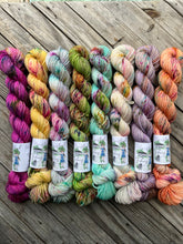Load image into Gallery viewer, Spring Collection Mini Skeins
